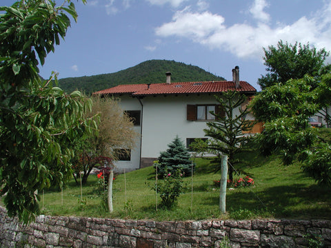 Villa Piccola